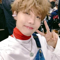 Hoseok/J-Hope