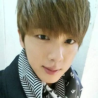 seokjin (jin)