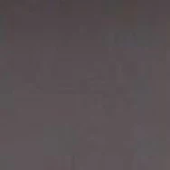 Everyone