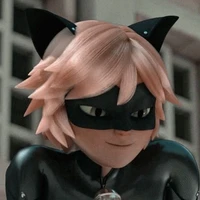 Cat noir