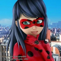 Ladybug