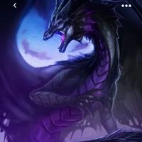 Black/Fl Beast