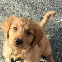 Jack