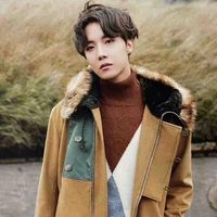 Hobi