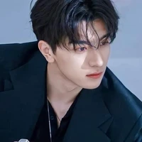 Lin yi