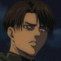 Levi