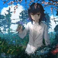 hasibira aoba