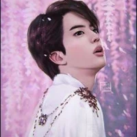kim seokjin