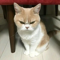 ตัง(เพื่อนแอด)