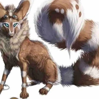 Ka Mo[Breed of Snow and wood Fox clans]