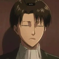 Levi