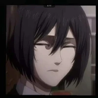 Mikasa