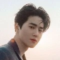 Jeon Suho (Tn. jeon)