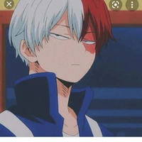 todoroki 🔥❄️