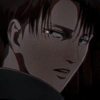 Levi