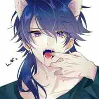 Shin/Kin[ML]
