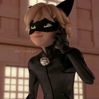 Chat noir