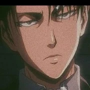 Levi