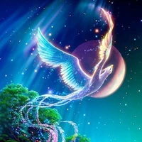 bird