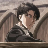 Levi