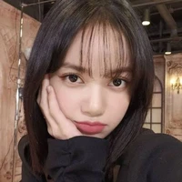 lalisa kim y/n