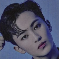 Lee Mark