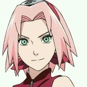 sakura