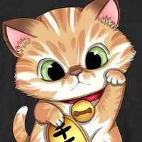 JiHoo (gato)