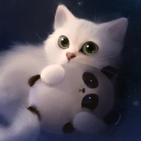 kucing