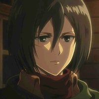 Mikasa Ackerman 
