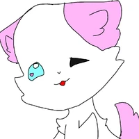 ผู้แต่ง(ปุกปุย)