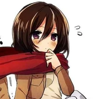 Mikasa