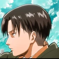 Levi