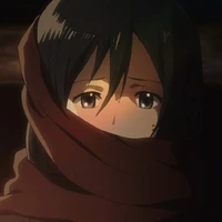 Mikasa