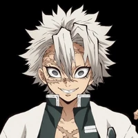 🌪ชินาสึกาวะ  ซาเนมิ🌪