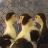 🎶เป็นทุกอย่างให้เธอแล้ว🎶