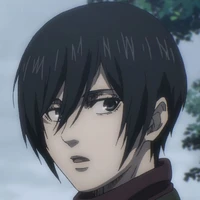 mikasa ackerman