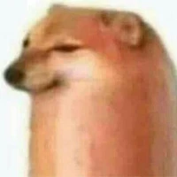 สุนัขสื่อสาร