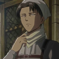 Levi