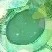 someone
