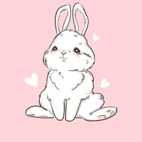 bunny