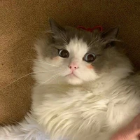 มุๆ