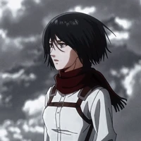 Mikasa