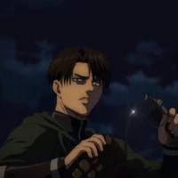 Levi