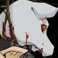 lobo