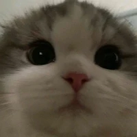 Shiro