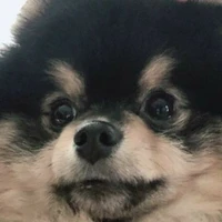 Yeontan