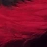 ??????