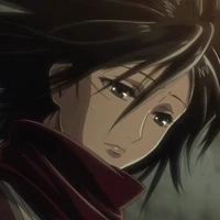 mikasa