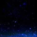 unknown 1
